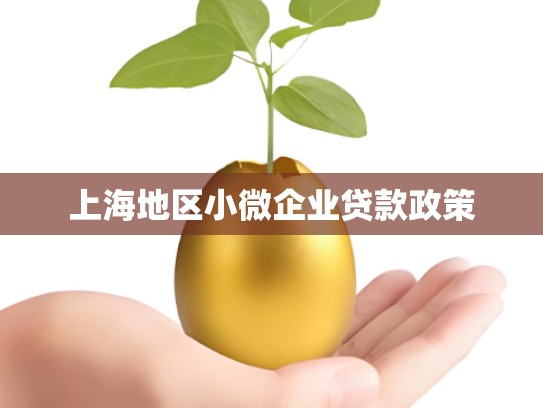 上海地区小微企业贷款政策
