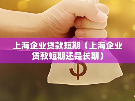 上海企业贷款短期（上海企业贷款短期还是长期）
