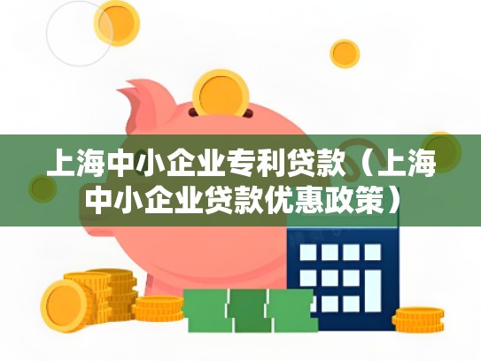 上海中小企业专利贷款（上海中小企业贷款优惠政策）