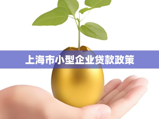 上海市小型企业贷款政策