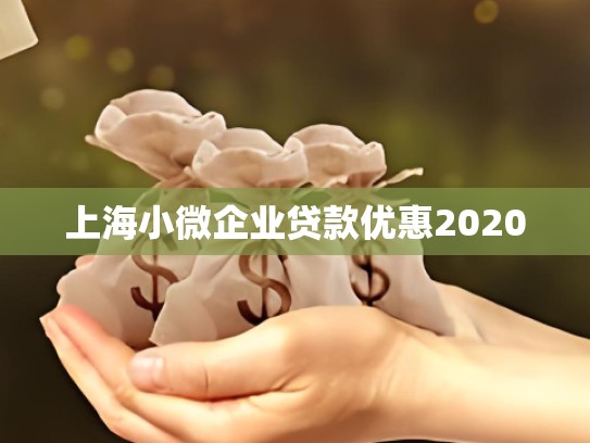 上海小微企业贷款优惠2020