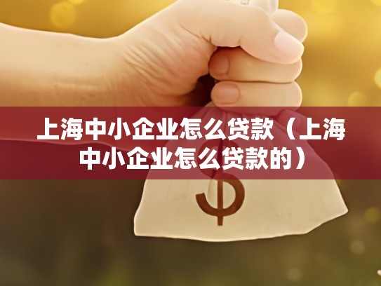 上海中小企业怎么贷款（上海中小企业怎么贷款的）