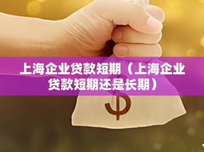 上海企业贷款短期（上海企业贷款短期还是长期）