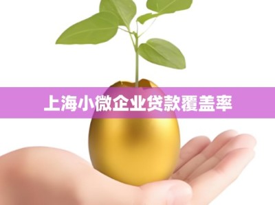 上海小微企业贷款覆盖率