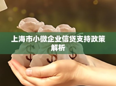 上海市小微企业信贷支持政策解析