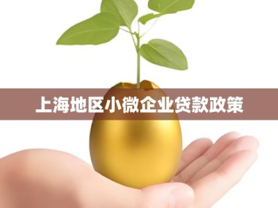 上海地区小微企业贷款政策