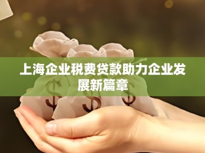 上海企业税费贷款助力企业发展新篇章