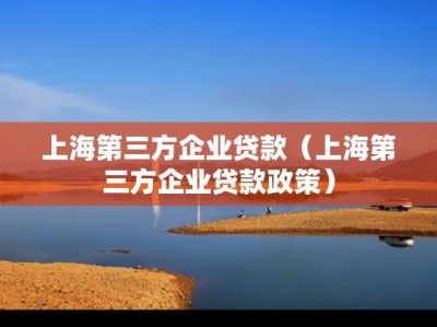 上海第三方企业贷款（上海第三方企业贷款政策）