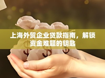 上海外贸企业贷款指南，解锁资金难题的钥匙