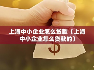 上海中小企业怎么贷款（上海中小企业怎么贷款的）