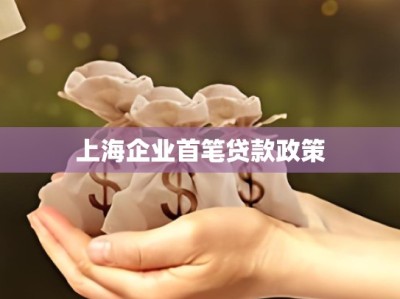 上海企业首笔贷款政策