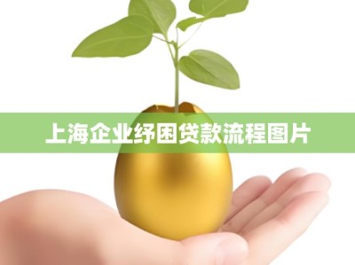 上海企业纾困贷款流程图片