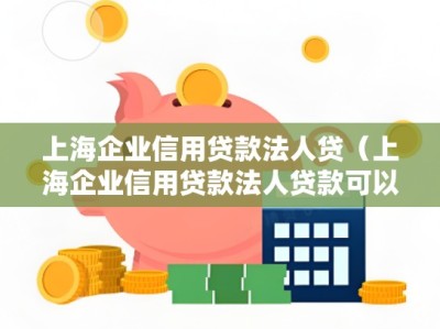 上海企业信用贷款法人贷（上海企业信用贷款法人贷款可以吗）