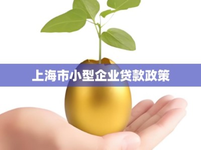 上海市小型企业贷款政策