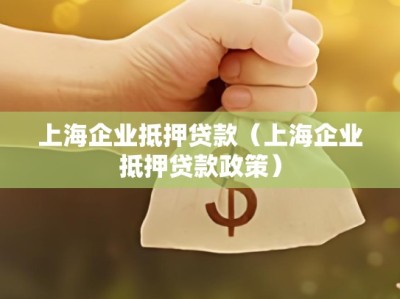 上海企业抵押贷款（上海企业抵押贷款政策）